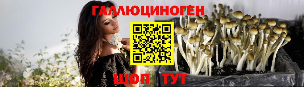 Псилоцибиновые грибы MAGIC MUSHROOMS  Вход с VPN  Псилоцибиновые грибы MAGIC MUSHROOMS  Свободный 